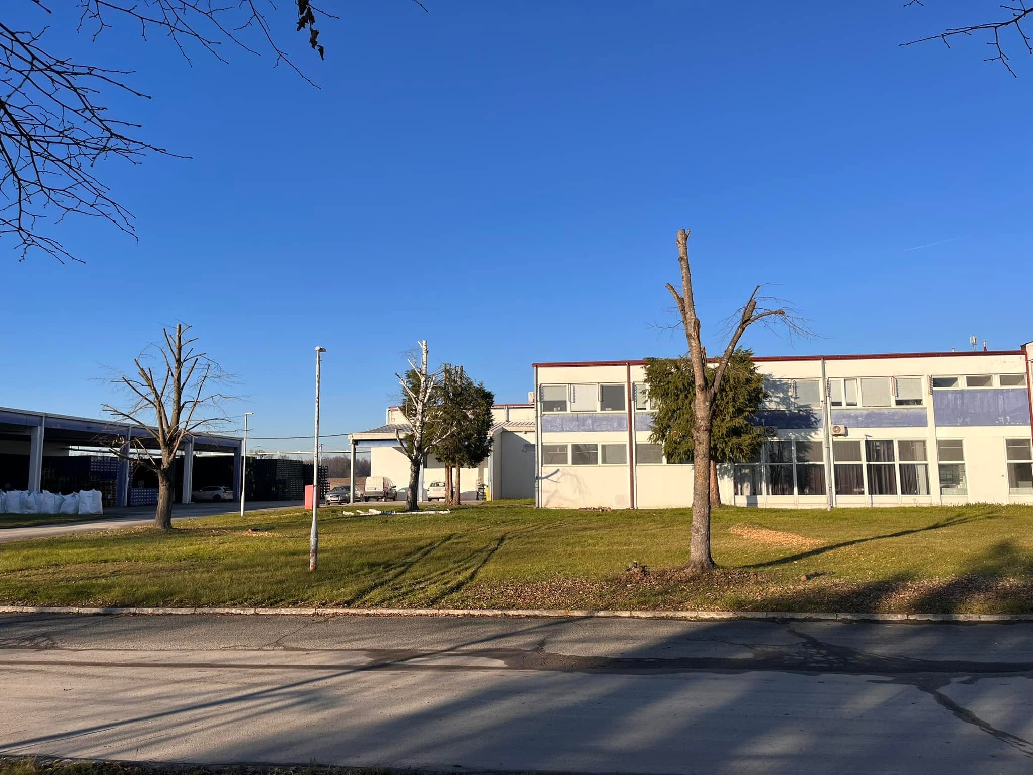 Teren nakon malčiranja visoke trave